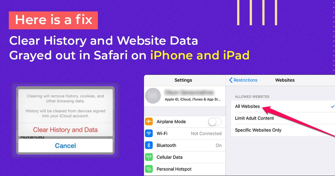 Data Grayed out in Safari on iPhone and iPad