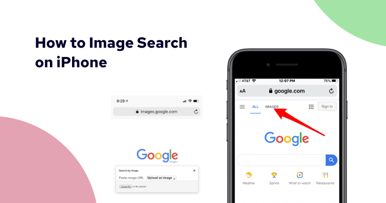 How to Image Search on iPhone